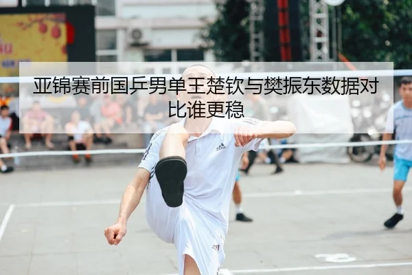 亚锦赛前国乒男单王楚钦与樊振东数据对比谁更稳